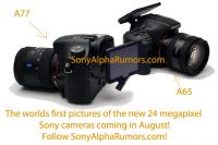 Sony готовит премьеры камер Alpha A77 и A65 на 24 августа